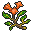ancient Orchid