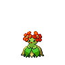 bellossom