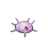 cascoon