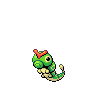 caterpie
