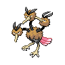 dodrio