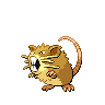 raticate
