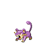 rattata
