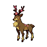 sawsbuckSpring