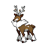 sawsbuckWinter