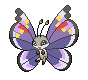 vivillonElegant