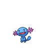 wooper